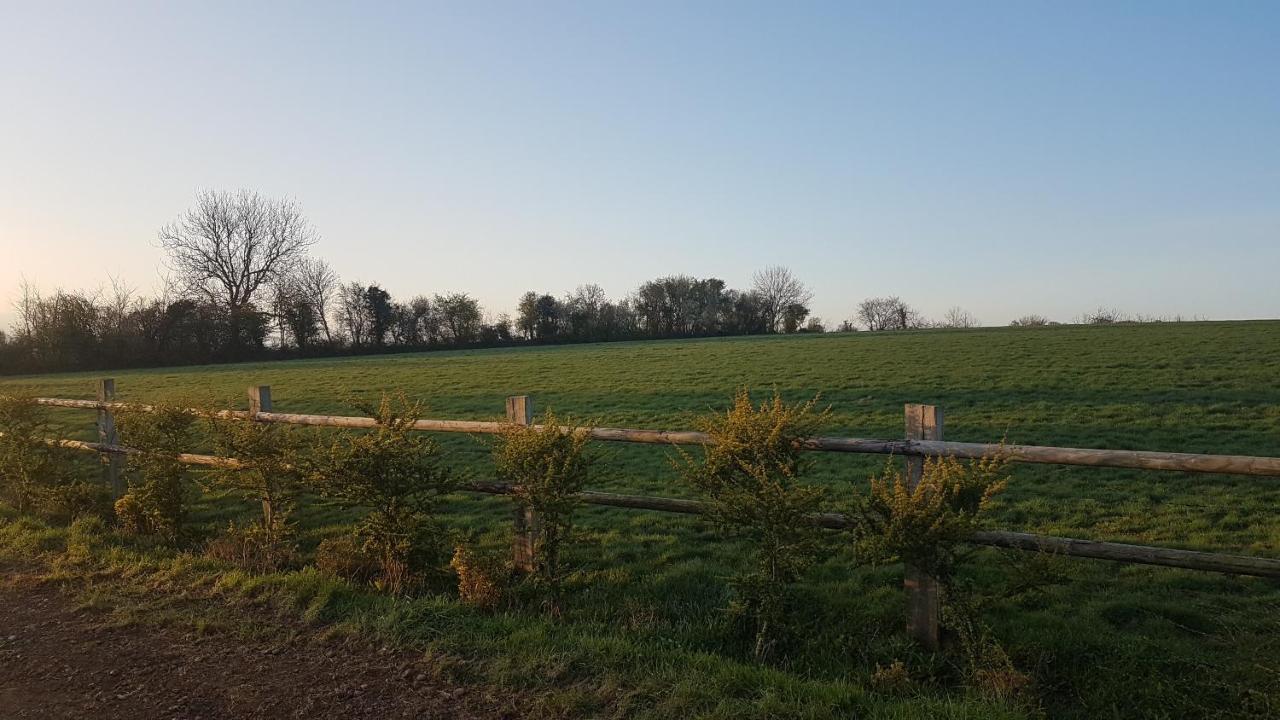 Le Domaine Des Roseraies, Monfréville Exteriör bild