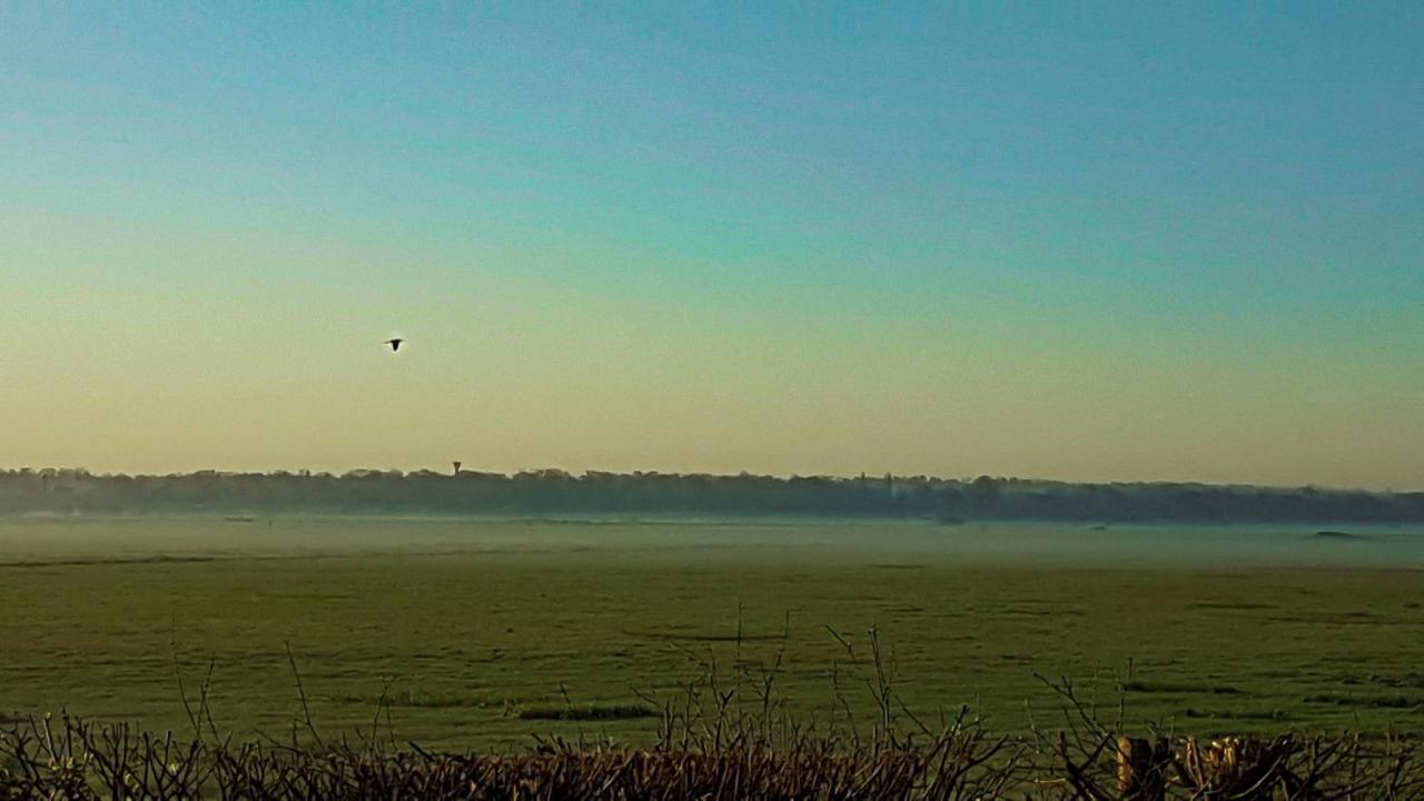 Le Domaine Des Roseraies, Monfréville Exteriör bild